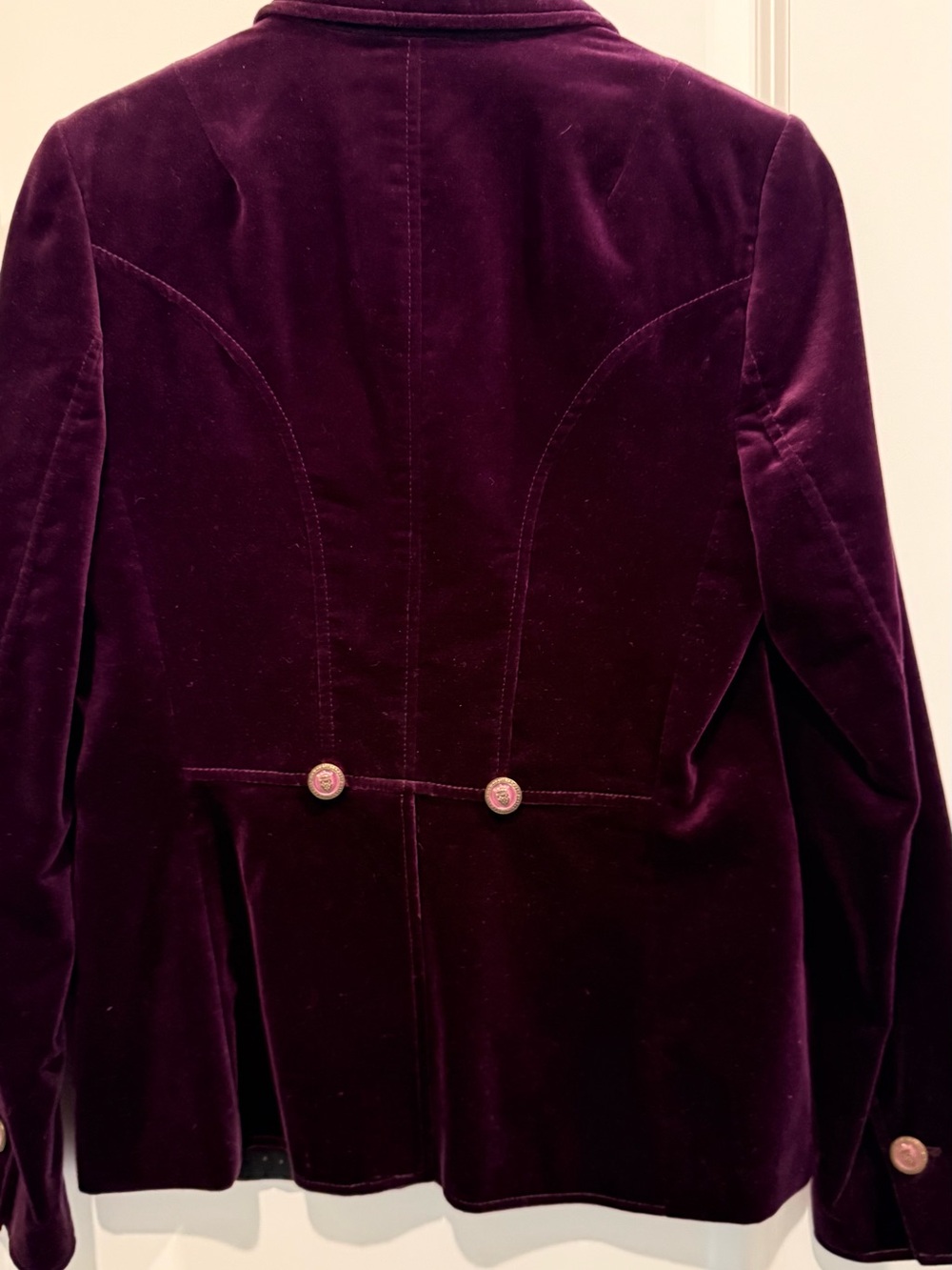 Banana Republic Plum Velvet Blazer with Gold Buttons - Picture 2 of 4